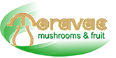 moravac logo